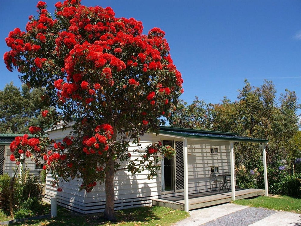 Beauty Point Tourist Park Main image